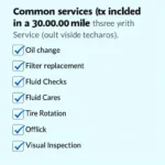 30,000-mile car service checklist