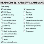 60-Month Car Service Checklist Items