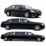 A Class Limo Car Service Fleet Options