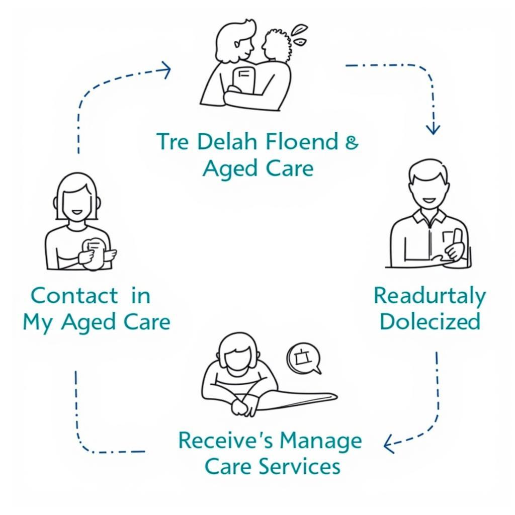 Steps involved in the aged care assessment process