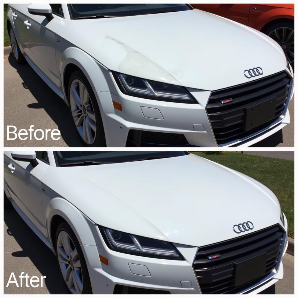 Audi Car Paint Repair