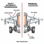 Automatic vs. Manual Transmission