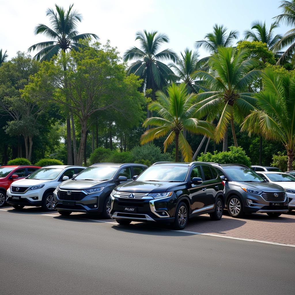 Bali Car Rental Options