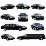 Car service options in Bay Ridge