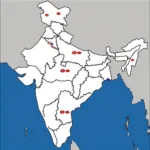 Wide Service Network across India