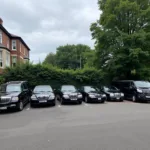 Diverse Fleet of Black Cars