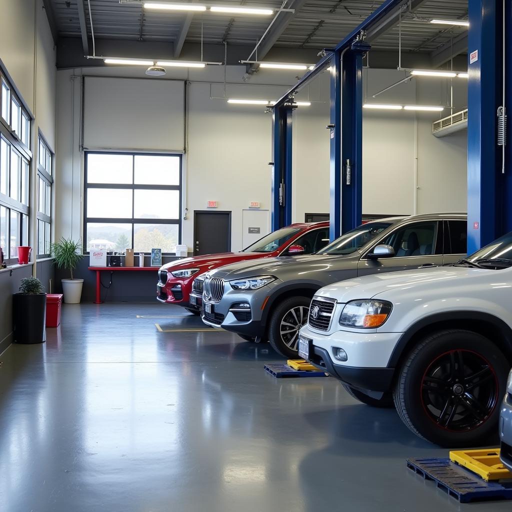 Modern car service center in Blenheim