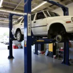 Car service and maintenance in Blenheim