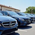 Modern Blue Bird Car Service Fleet