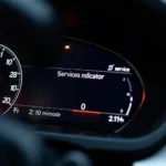 BMW Service Indicator