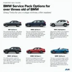 BMW service pack options for older models