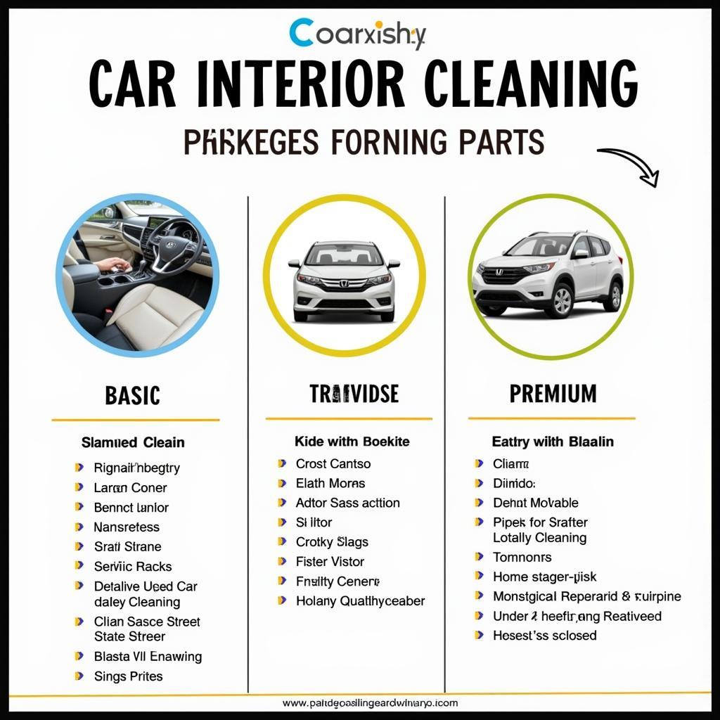 Car Interior Cleaning Packages in Bangalore