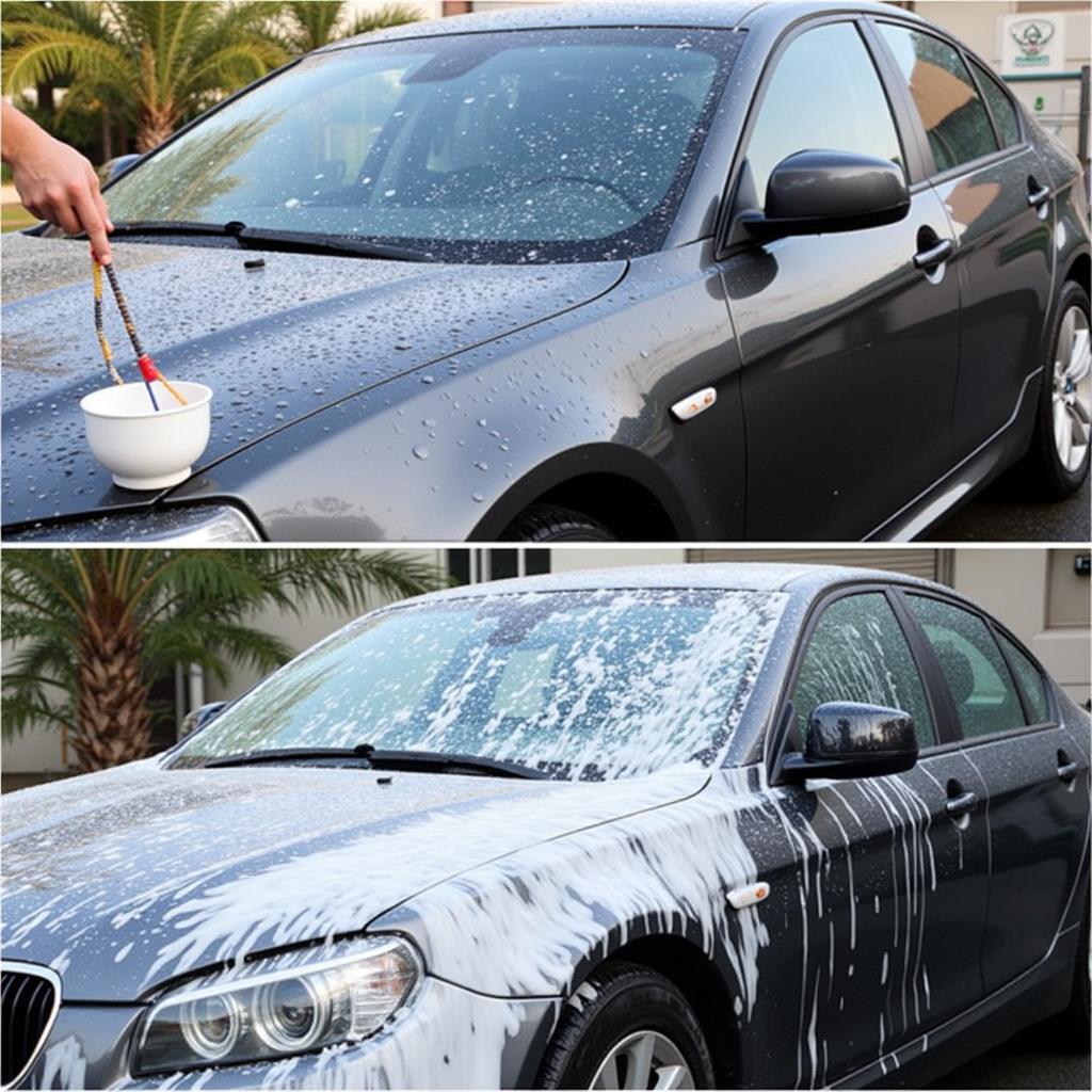 Car Wash After Paint Protection in India