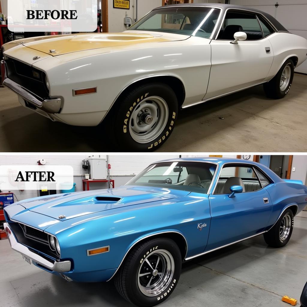 Car Paint Restoration Before & After