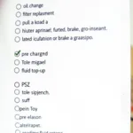 Car Service Checklist