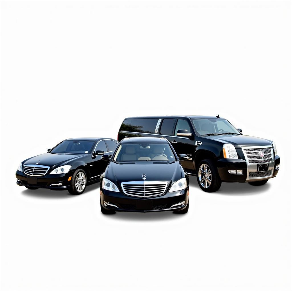 Car Service Fleet Options