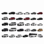 Diverse Fleet of Car Service Vehicles