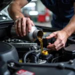 Car service New Jersey oil change being performed