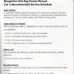 Understanding Your Car's Maintenance Schedule