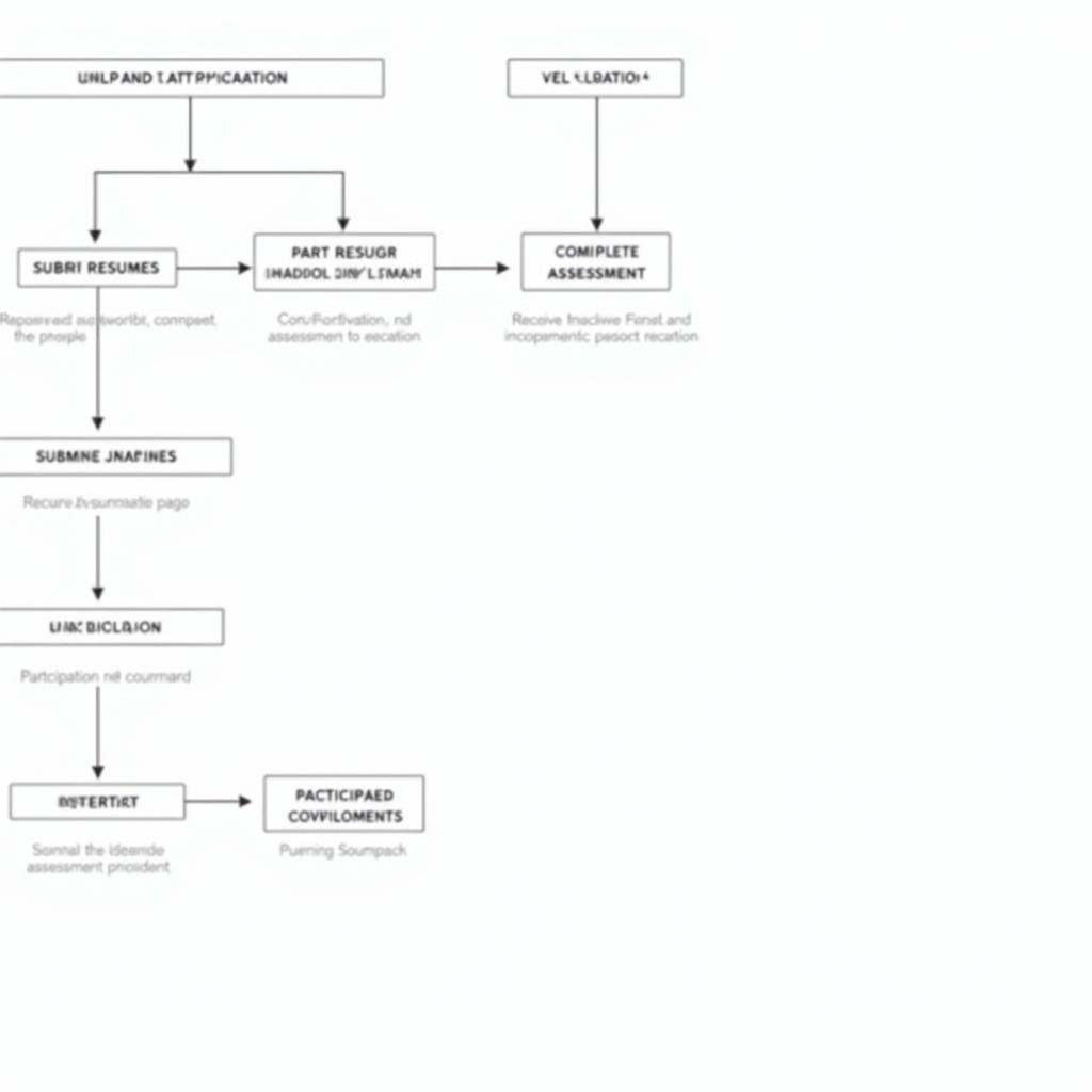 Career Executive Service Application Process