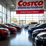 Costco Auto Program Dealership