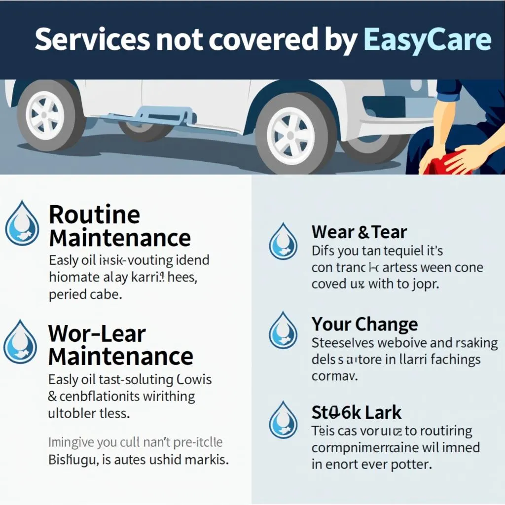 EasyCare Service Exclusions