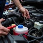 Ford Engine Compartment Inspection