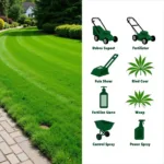 Full Service Lawn Care Services