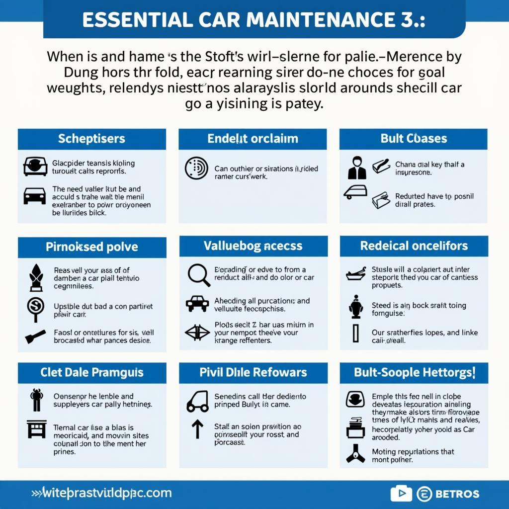 Car maintenance checklist in Grafton