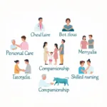 Types of Home Care Services