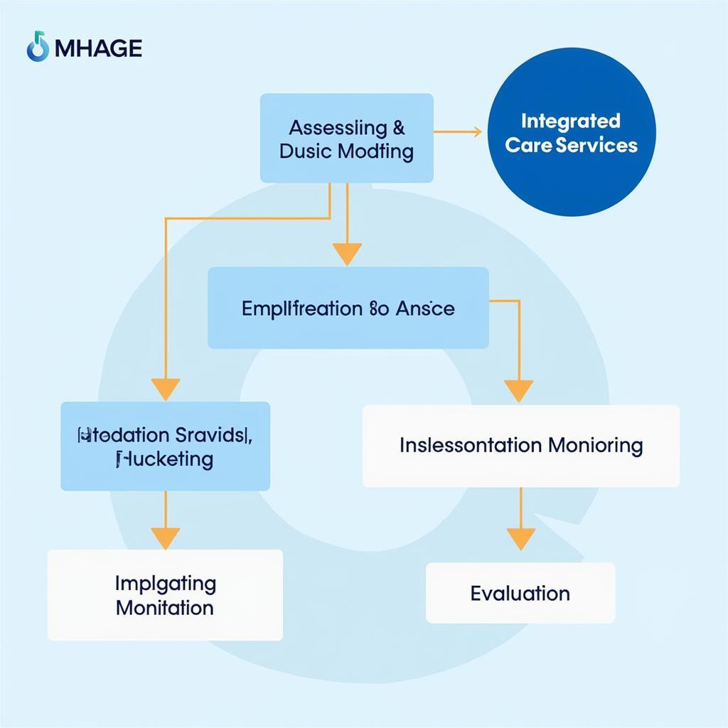 Implementation of Integrated Care