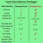 Lawn Care Service Packages Comparison