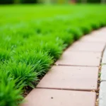 Lawn Edging