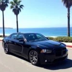 Luxurious car service from LAX to Dana Point