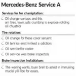 Mercedes Service A Checklist