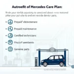 Mercedes Service Care Plan Illustration