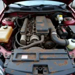 Neglected car engine