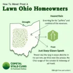 Ohio lawn care challenges