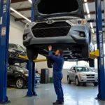 Car Undergoing Pre-purchase Inspection