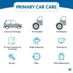 Essential Primary Car Care Services