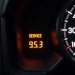 Renault Service Indicator Light