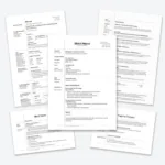 Professional Resume Writing Samples