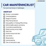 Routine Car Maintenance Checklist in Hyderabad