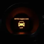 Car Dashboard with Service Engine Light On