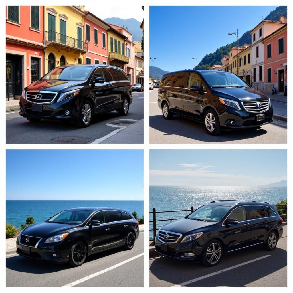 Car service options from Naples to Sorrento