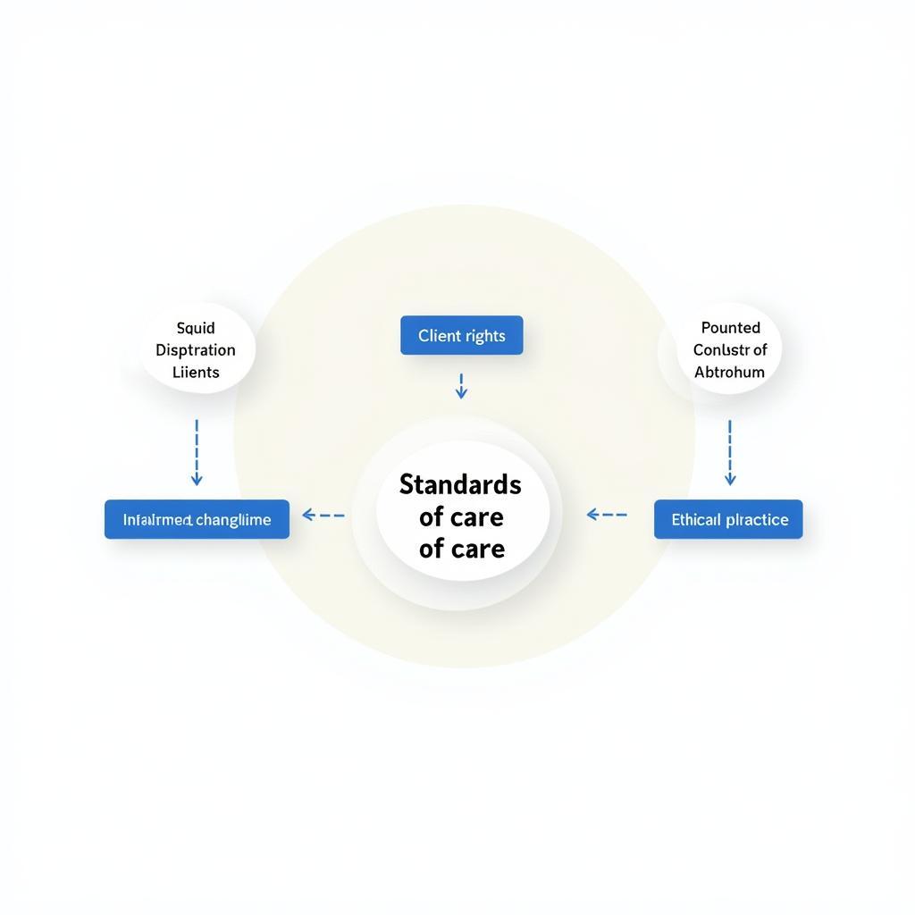 Standards of Care Framework