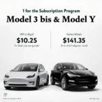 Tesla Model 3 and Model Y Available Through Subscription