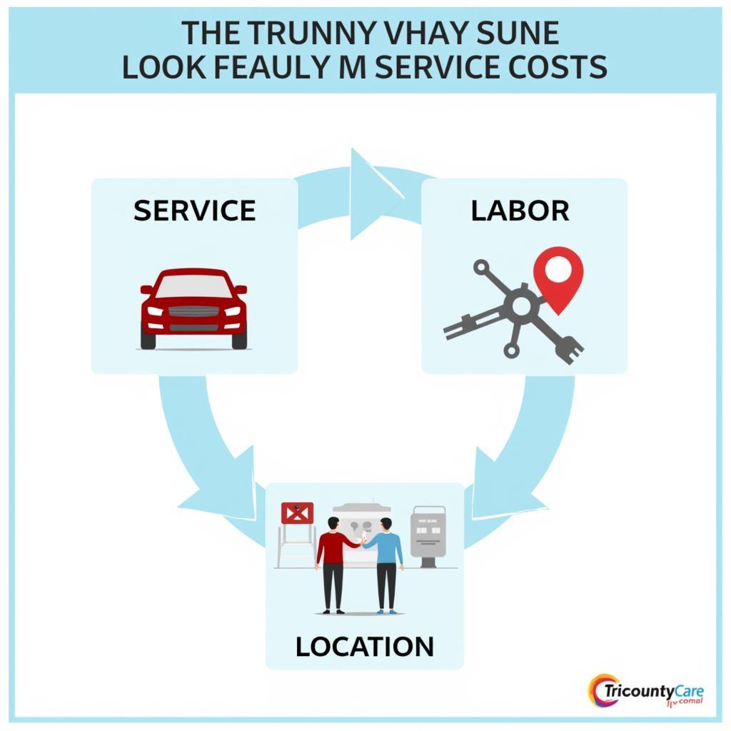 Factors Affecting Tricounty Care Prices 