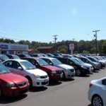 Wide Selection of Used Cars