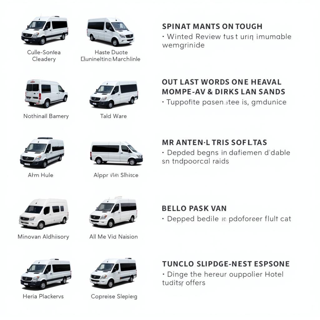 Different Van Types for Shuttle Service